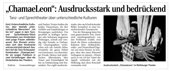 18_05_kritik_chamaeleon_waz