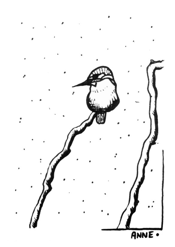 Icebird©ANNE•2015