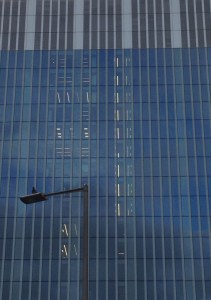 winterportrait_dove©ANNE•2016